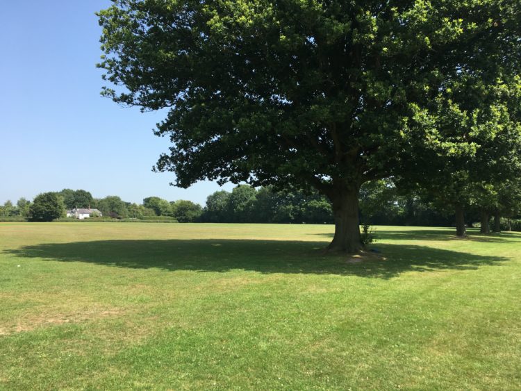 Sandhurst Playing Fields